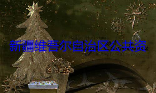 查调查建强接受审新疆维吾尔心副主任薛自治区公共资源交易中
